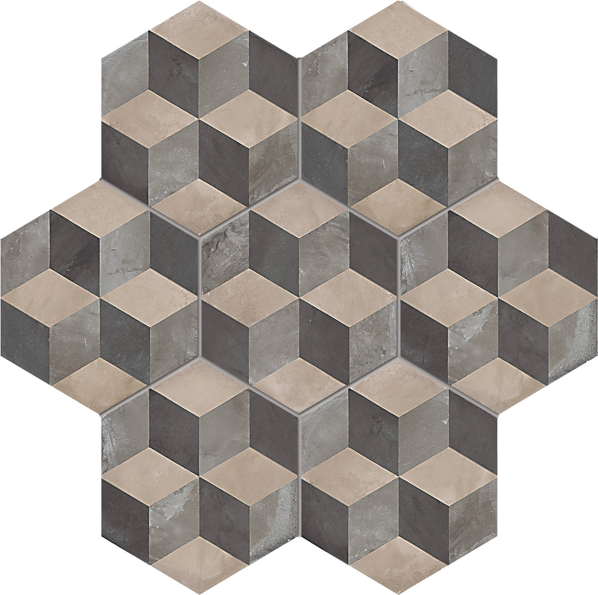 TERRA WINTER CUBO E.F 22*25